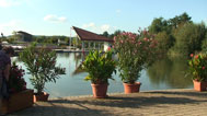 Blick in der Kurgarten, vorne Blumenkübel, dahinter kleiner Teich