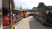 Touristen zug "Kleine Arberseebahn"