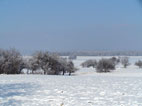 Blick über die winterliche Landschaft