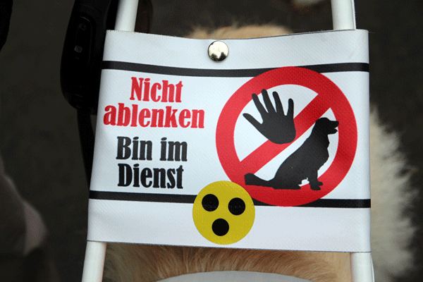 das Geschirr des Blindenhundes, darauf steht: Nicht ablenken. Bin im Dienst. Piktogramm: Verbotsschild mit einer Hand und einem Hund, . Blindenkennzeichen: 3 schwarze Punkte auf gelbem Grund.