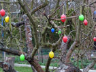 Baum mit Ostereiern in der Gartenkolonie