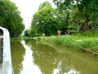 Kanal und am Ufer das Pferd, das den Kahn zieht