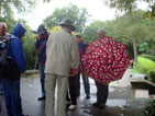 Pitschedabber im Regen