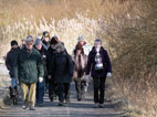 Wanderer in der Kälte im Anmarsch auf Michelbach