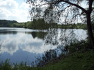 Blick auf den Erlensee