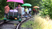 vier draisinen mit unserer Gruppe von Hinten unterwegs auf der Strecke