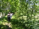 die Pitschedabber im "Gänsemarsch auf dem Weg durch die Schiffslache, zu beiden Seiten befindet sich Wasser