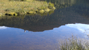 Arbersee mit Scvhwingrasen und Spiegelbild des Großen Arber