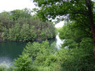 Blick auf den See, umgeben von Wald