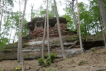 Oben flacher Felsen im Wald.