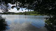 Blick auf den See zwischen  Büschen und Bäumen hindurch