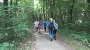 Pitschedabber von hinten beim Weg durch den Wald