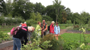 Pitschedabber im Küchengarten befühlen verschiedene Pflanze: vorne Klaus, dahinter Margit, Achim, Inge, Reingard