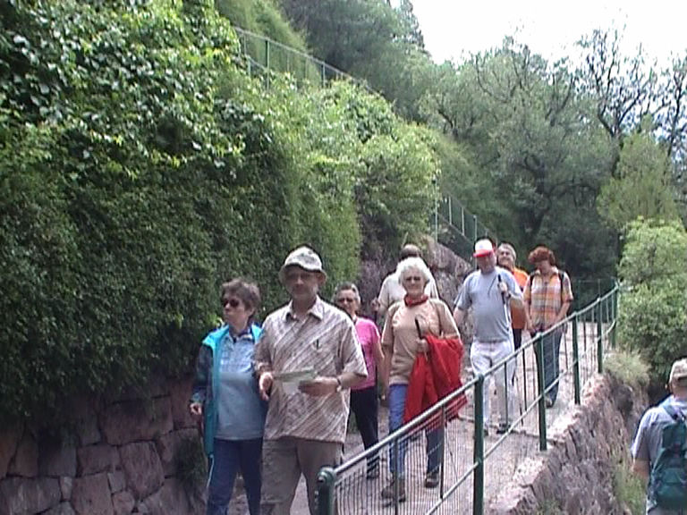 Adele, Friedrich, Gretel, Reinhilde