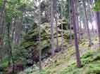 Felsen an den Hängen des Tales im Wald