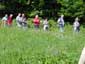 Marlene, Volhard, Reingard, Josef, Franz, Alwin Silvia und Christa wandern im Gänsemarsch durch eine Wiese.