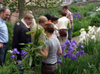 ein Teil der Gruppe im bluehenden Kräutergarten